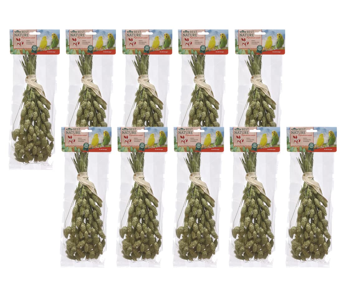 dehner-best-nature-vogelsnack-rispenhirse-10x50g-wellensittich image 5