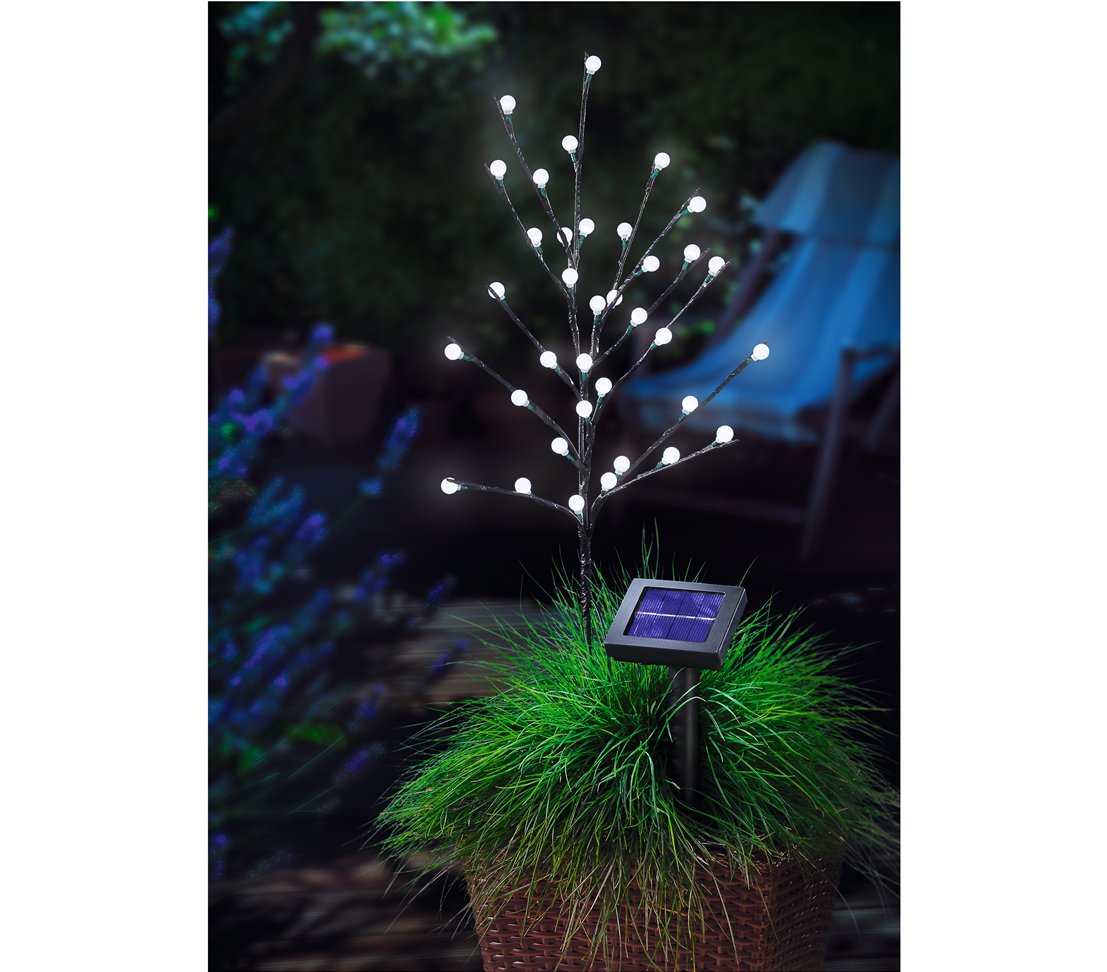 dehner-living-solar-bl-tenstrauch-60-cm-36-led image 2