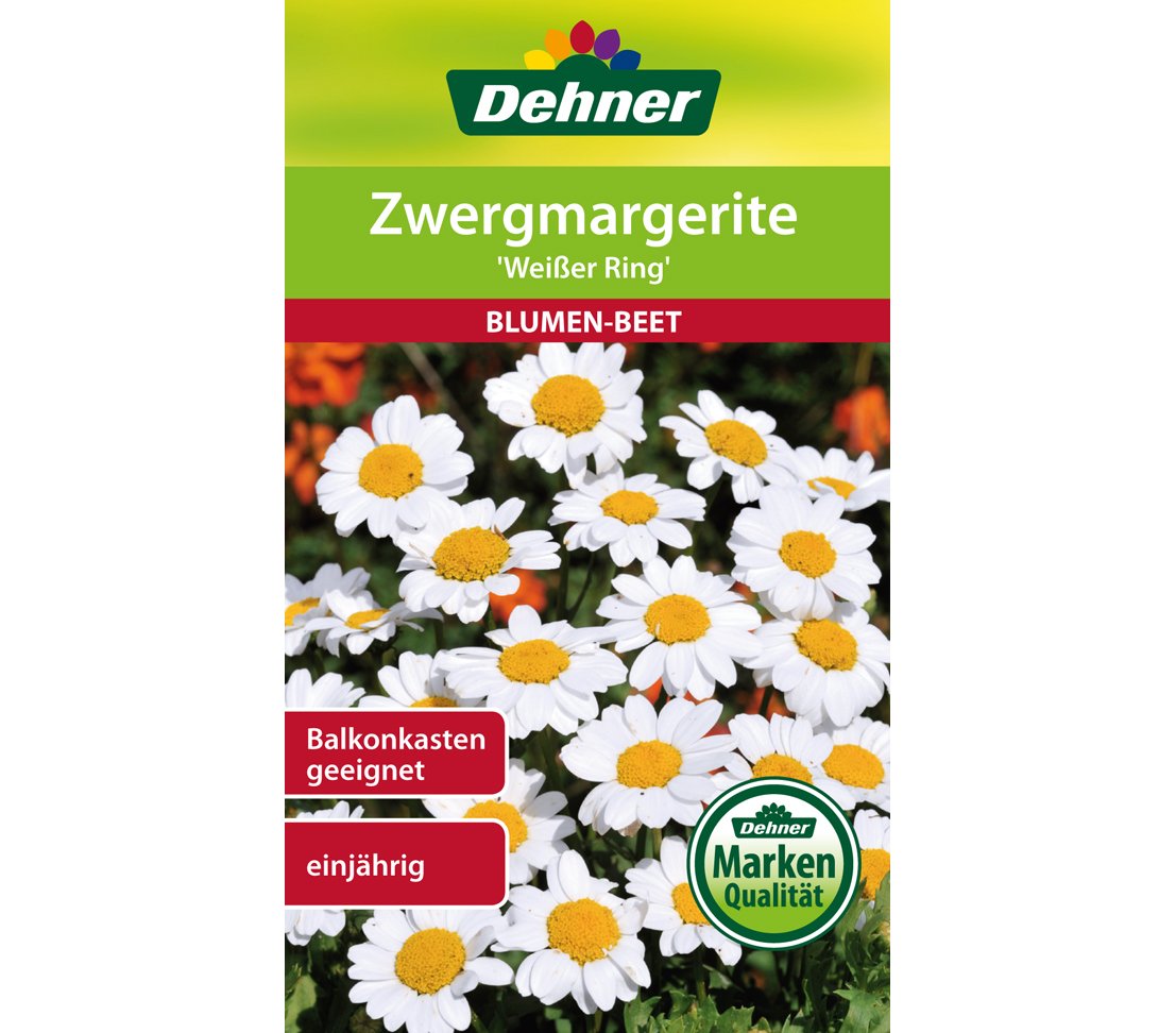 dehner-zwergmargerite-wei-er-ring-blumensamen-5er image 1