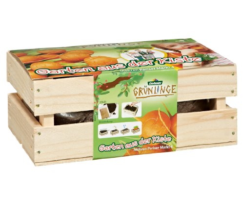 dehner-gr-nlinge-garten-aus-der-kiste-anzuchtset-m-hren-holz image 2
