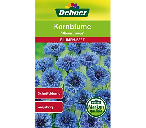 dehner-kornblume-blauer-junge-blumensamen-5er-pack image 3