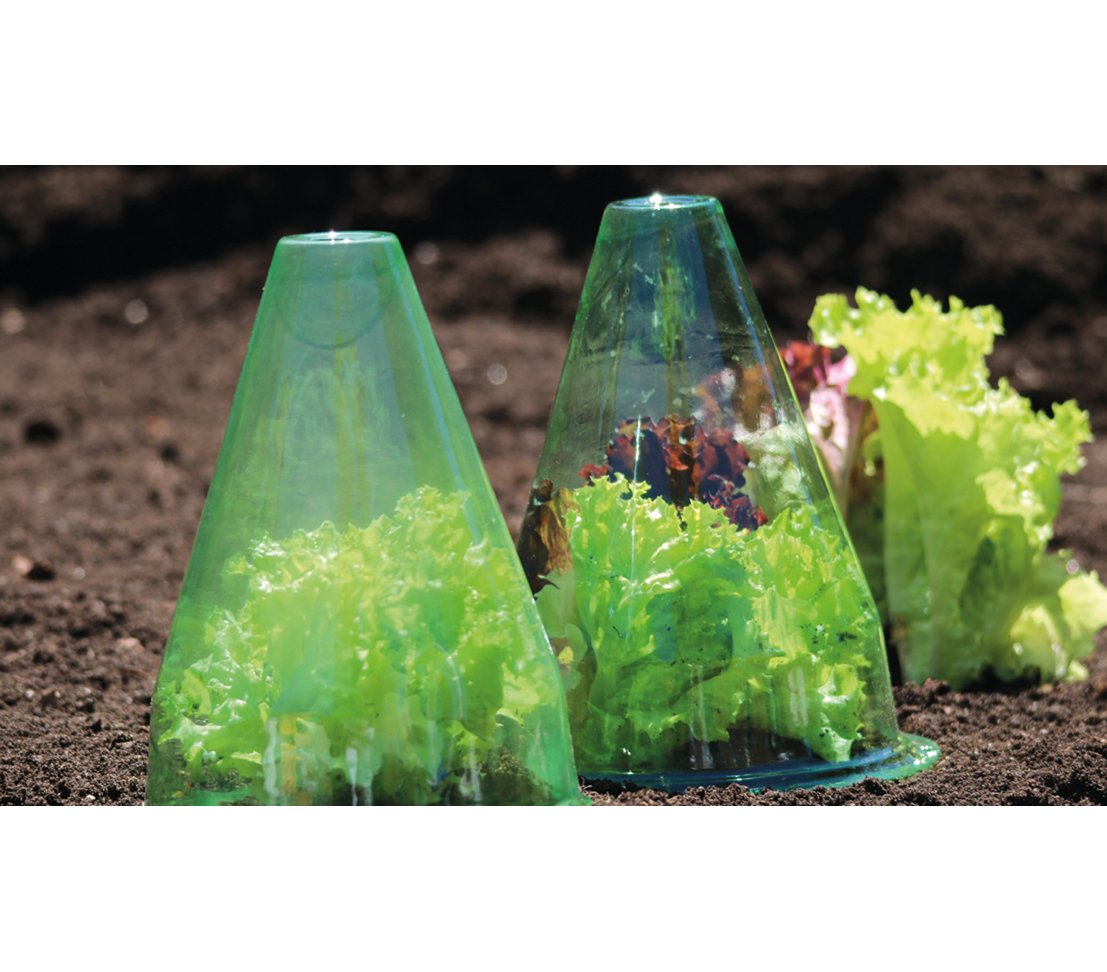 dehner-pflanzenhut-gr-n-kunststoff-10-st-ck-30-cm image 2