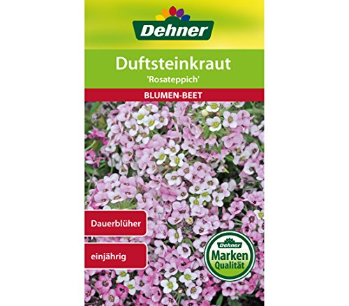 dehner-wild-nature-rosateppich-duftsteinkraut-samen-5er-pack image 3