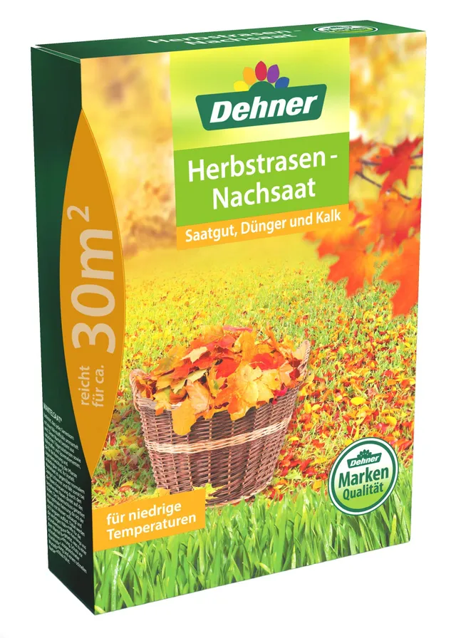 dehner-herbstrasen-nachsaat-3-in-1-rasensamen-1-kg-f-r-30-qm image 1