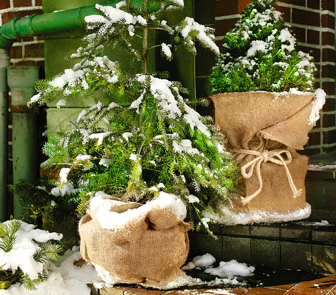 dehner-winterschutz-matte-jute-150x50-cm-braun-filz image 3