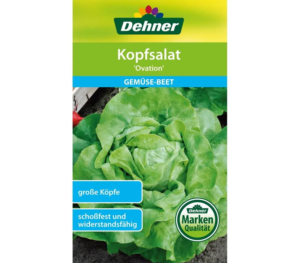 dehner-ovation-kopfsalat-samen-5er-pack-scho-fest image 1