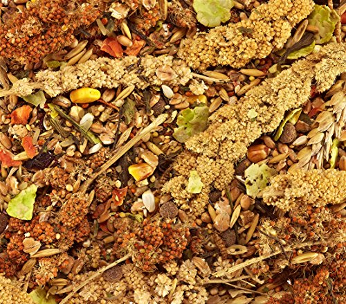 dehner-best-nature-zwerghamsterfutter-hamsterfutter-3x500g-nat-rlich image 4