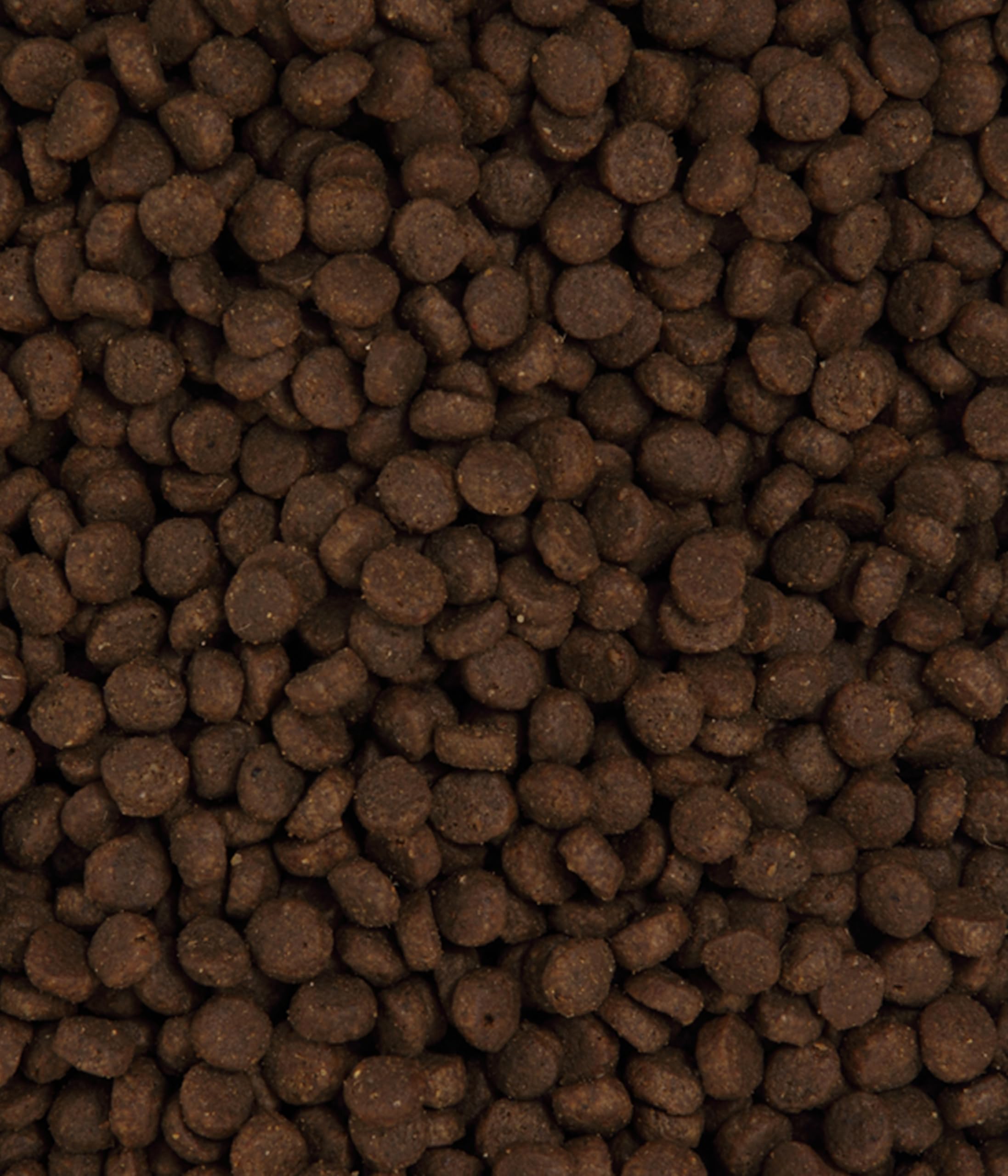 dehner-premium-sensitive-katzenfutter-2-kg-pute-getreidefrei image 5