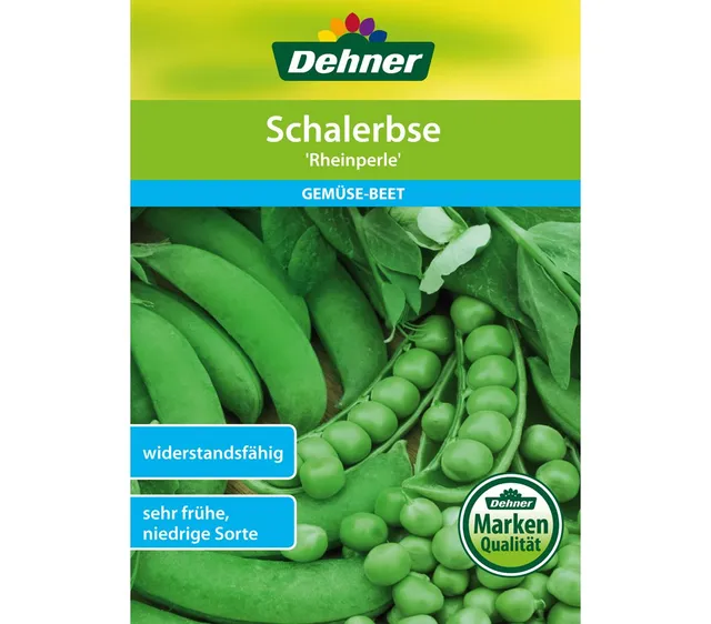 dehner-schalerbse-rheinperle-saatgut-5er-pack-fr-h-robust image 1