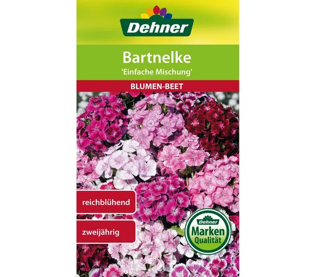 dehner-bartnelke-einfache-mischung-blumensamen-5x1-3-g image 1