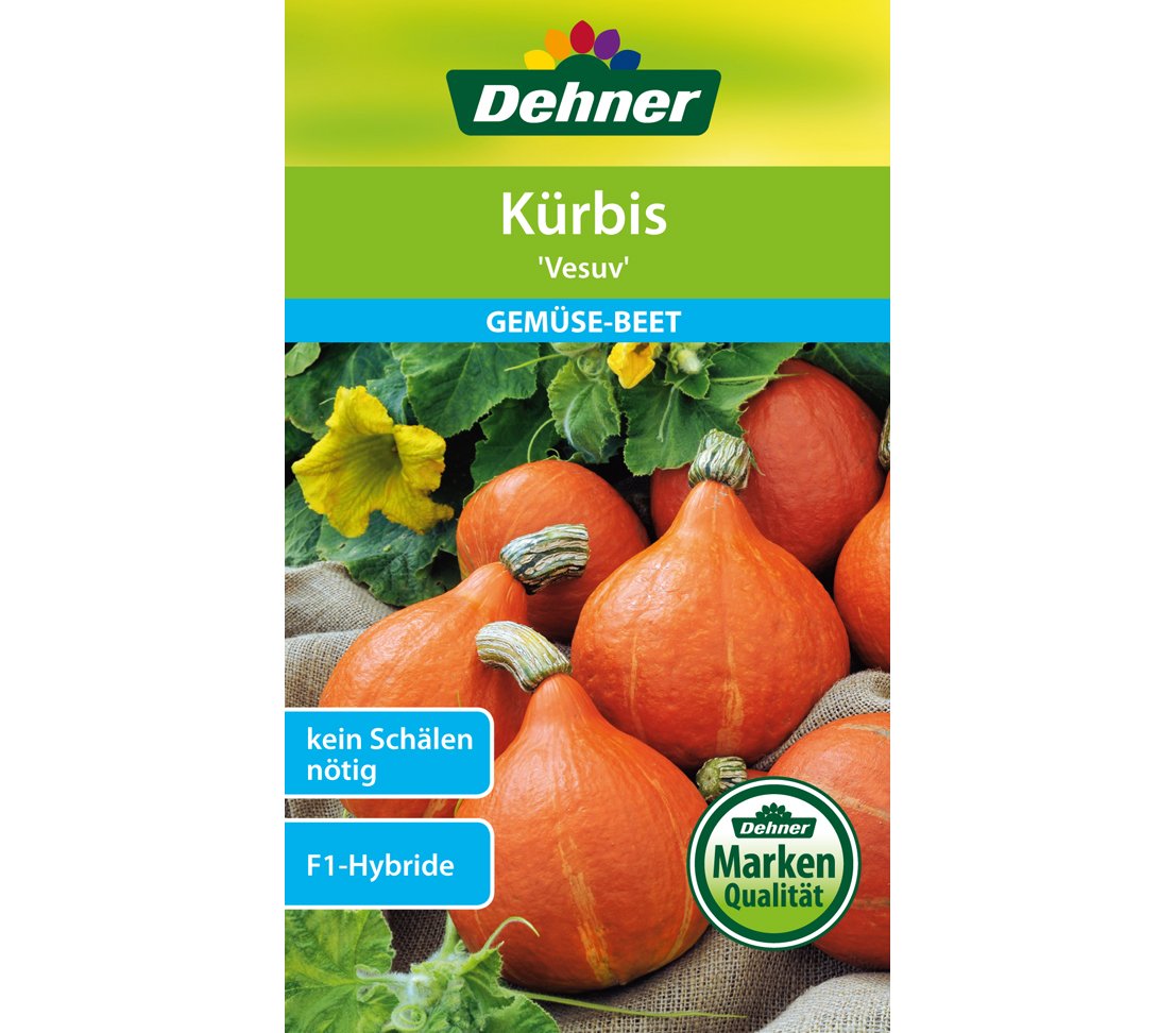 dehner-wild-nature-kuerbis-vesuv-saatgut-5er-pack-speisekuerbis image 1