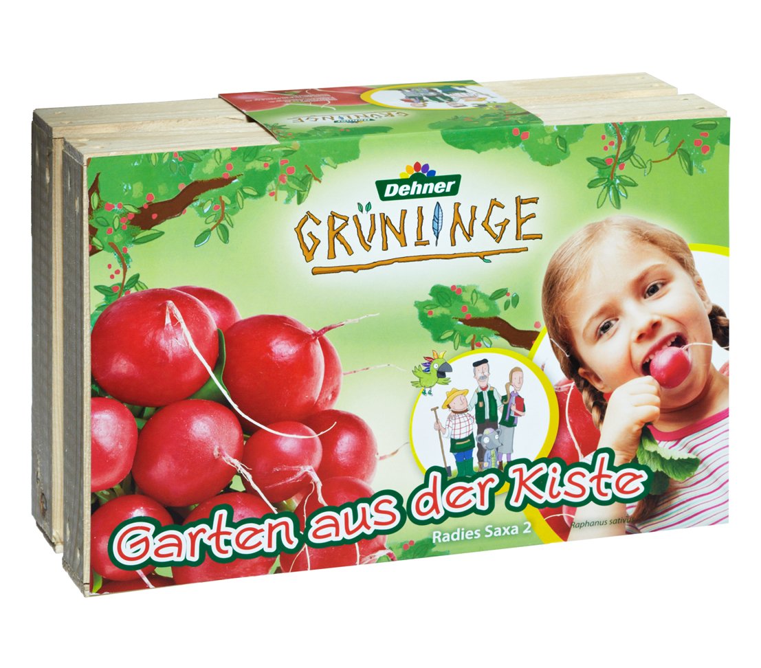 dehner-gr-nlinge-garten-aus-der-kiste-radieschen-set image 1