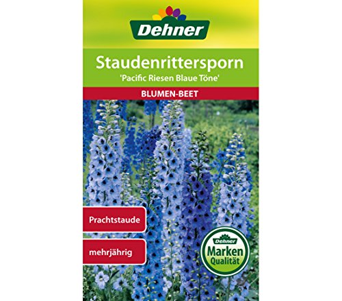 dehner-pacific-riesen-staudenrittersporn-saatgut-5x1-g-blau image 3