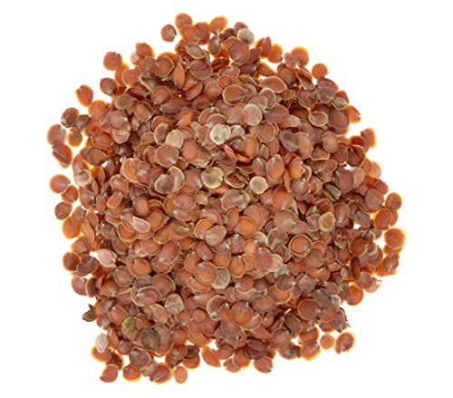 dehner-steinkraut-kompakta-blumensamen-gelb-5er-pack image 6