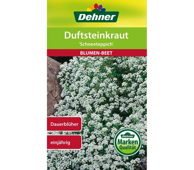 dehner-duftsteinkraut-schneeteppich-blumensamen-5er-pack-wei image 1