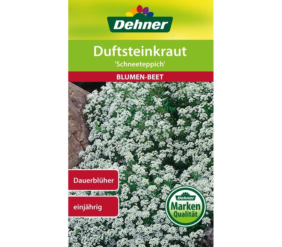 dehner-duftsteinkraut-schneeteppich-blumensamen-5er-pack-wei image 1