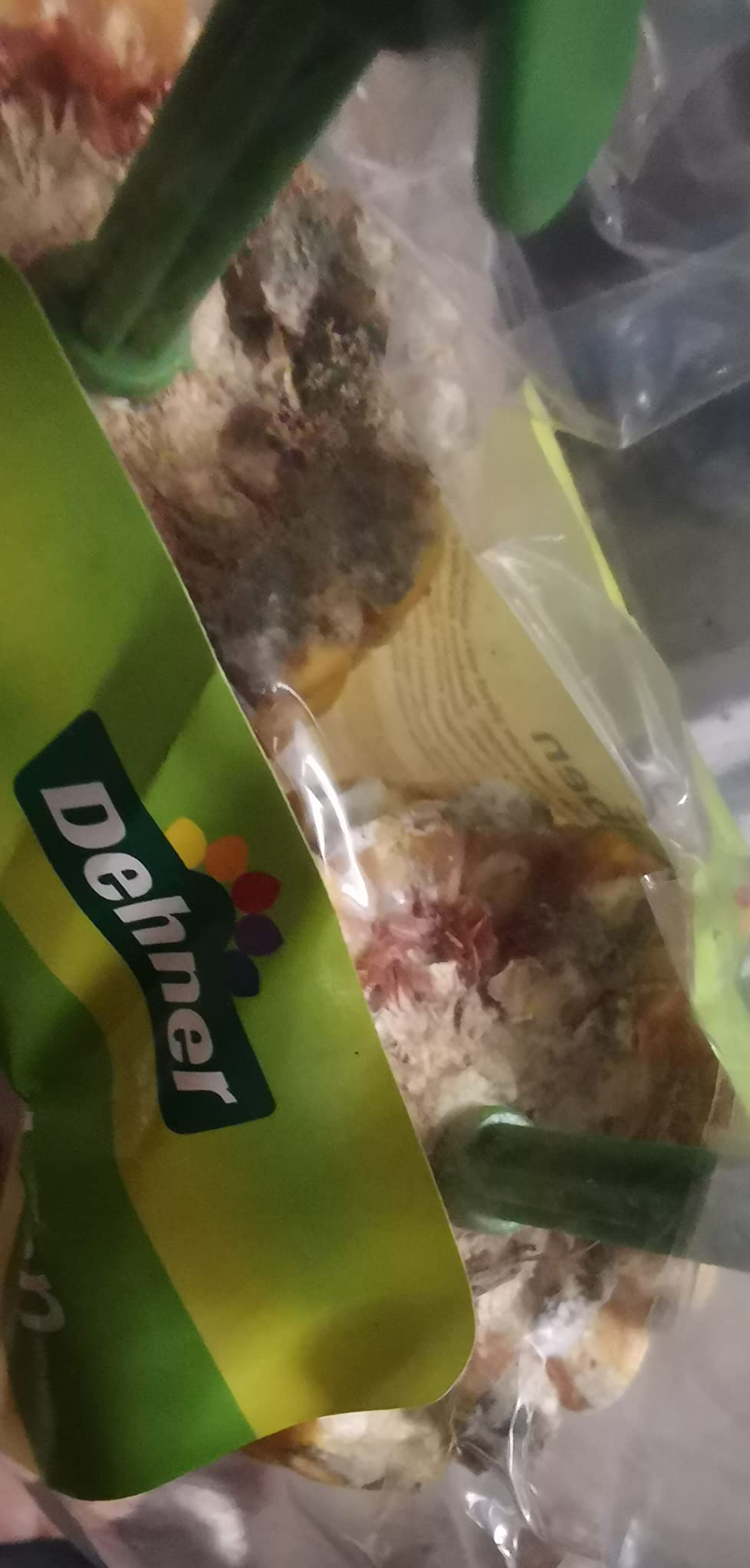 Preis-Leistung gut