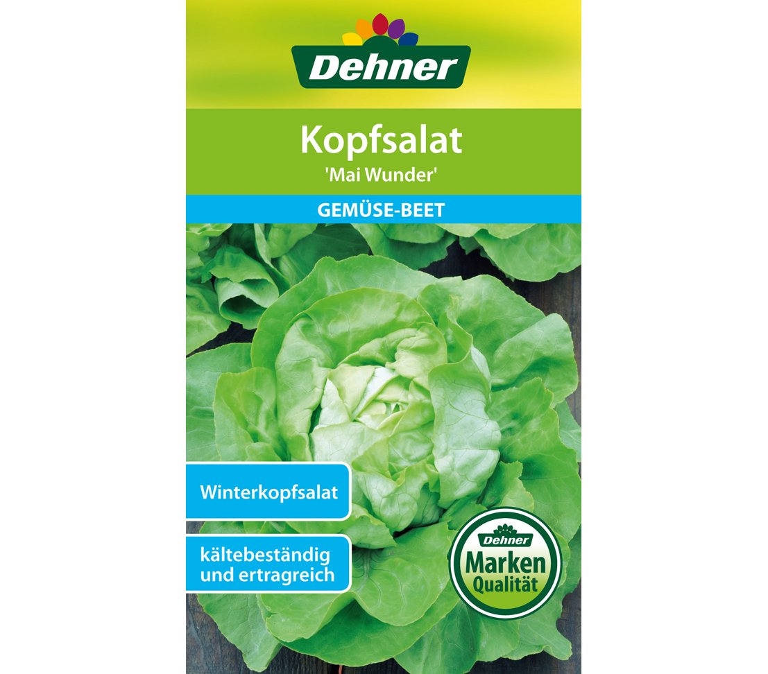 dehner-mai-wunder-kopfsalat-samen-5er-pack-winterhart image 1