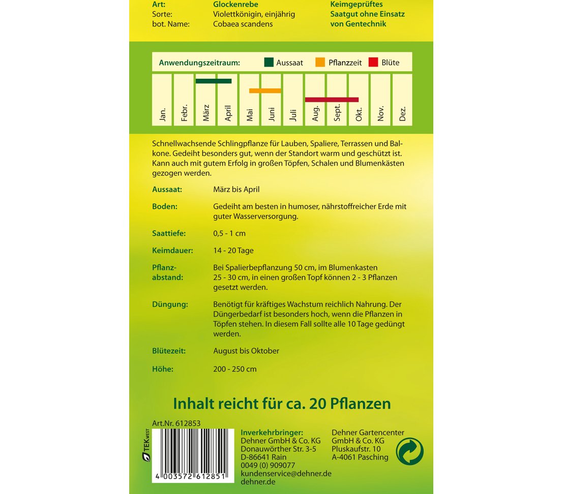 dehner-glockenrebe-violettk-nigin-blumensamen-5x2-5g-einj-hrig image 2