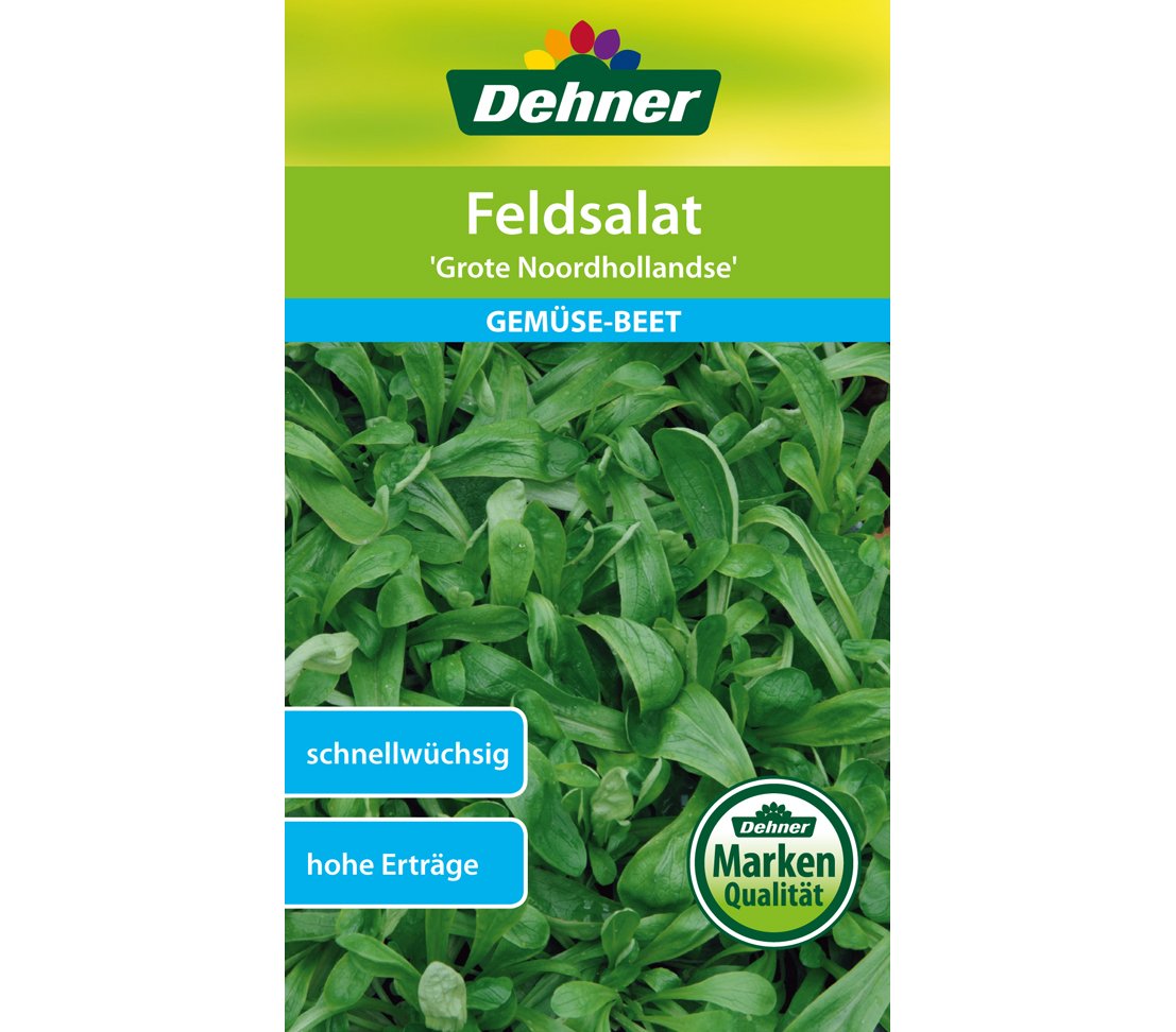 dehner-gem-se-saatgut-feldsalat-grote-noordhollandse-5x10-g image 1