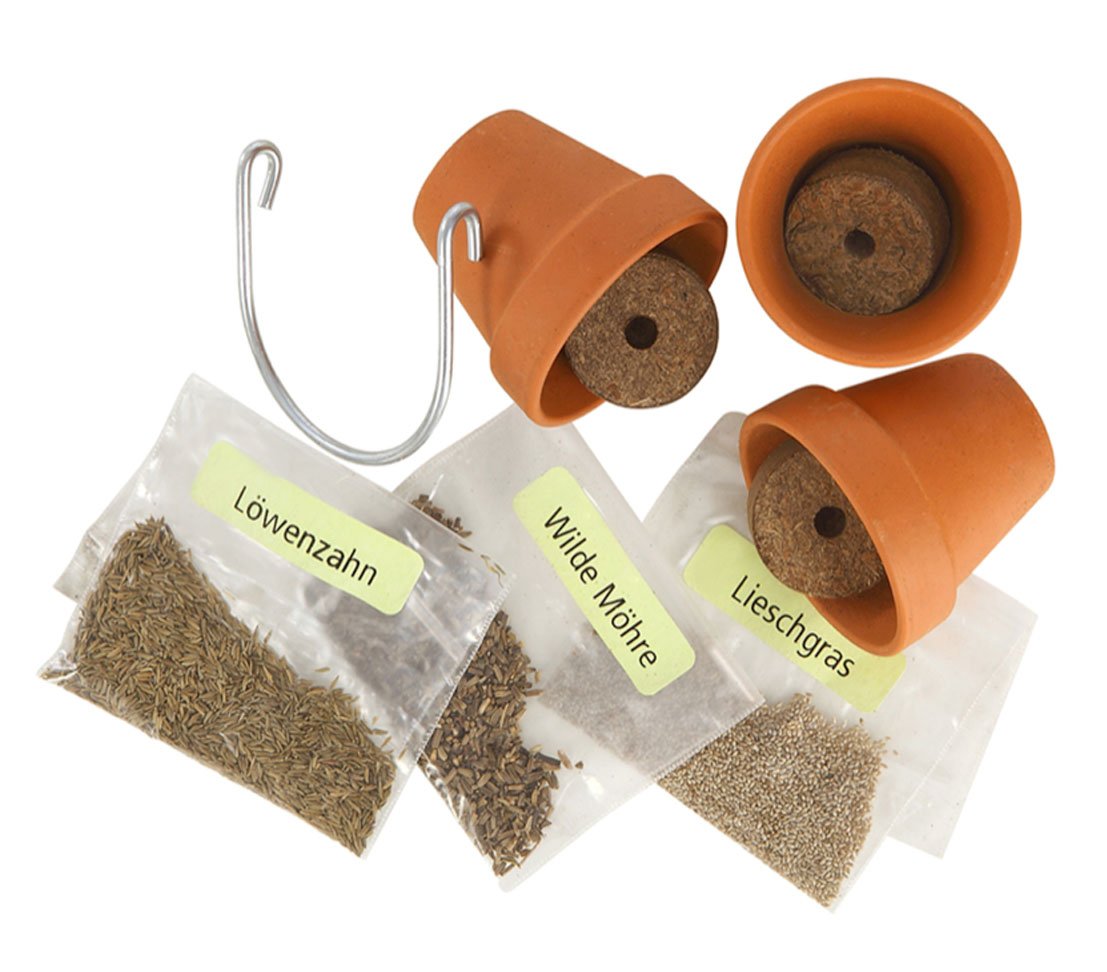 dehner-anzuchtset-kleintier-wiese-gr-nfutter-lieschgras-1-set image 2