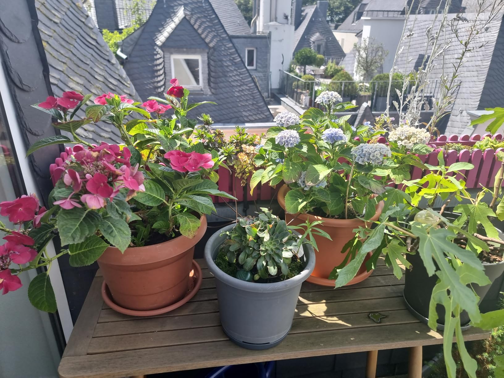 Mehr Blüten