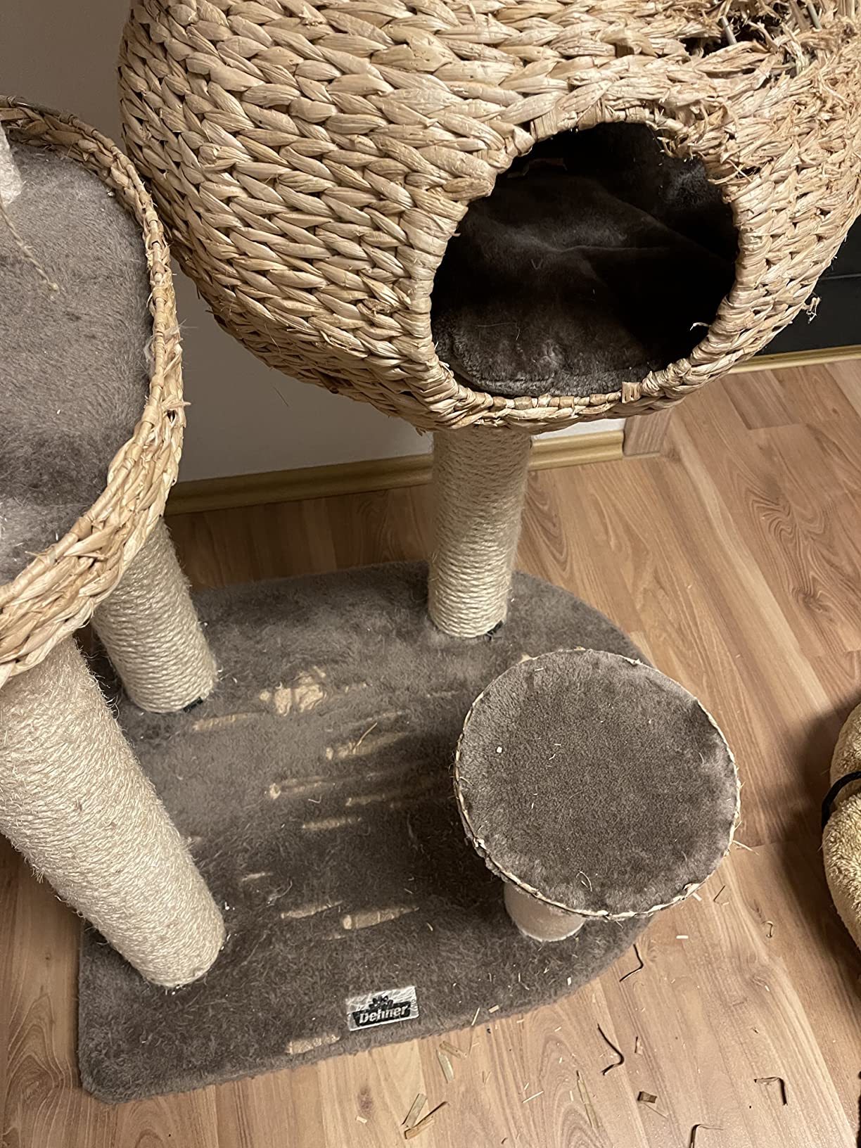 Zwei Katzen drauf