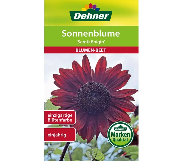dehner-sonnenblume-samtk-nigin-blumensamen-5er-pack-rostrot image 1