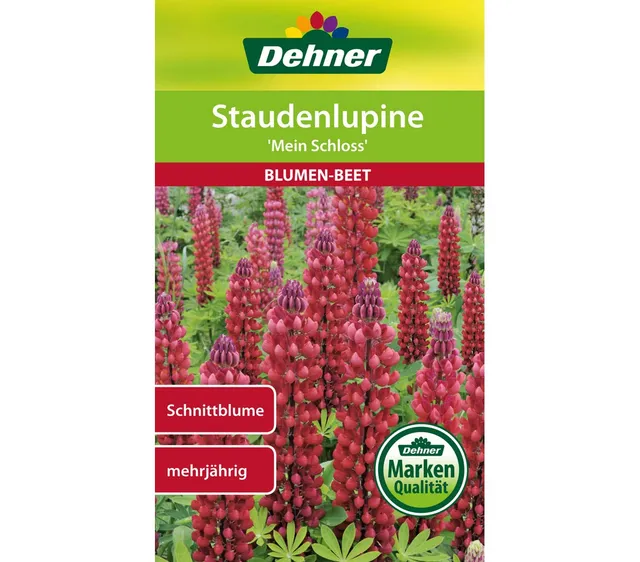 dehner-staudenlupine-mein-schloss-blumensamen-5er-pack-rot image 1