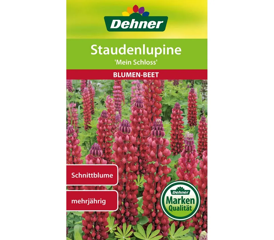 dehner-staudenlupine-mein-schloss-blumensamen-5er-pack-rot image 1