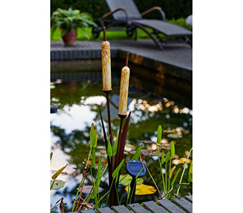 dehner-solar-rohrkolben-gartenleuchte-metall-glas-94-cm image 5