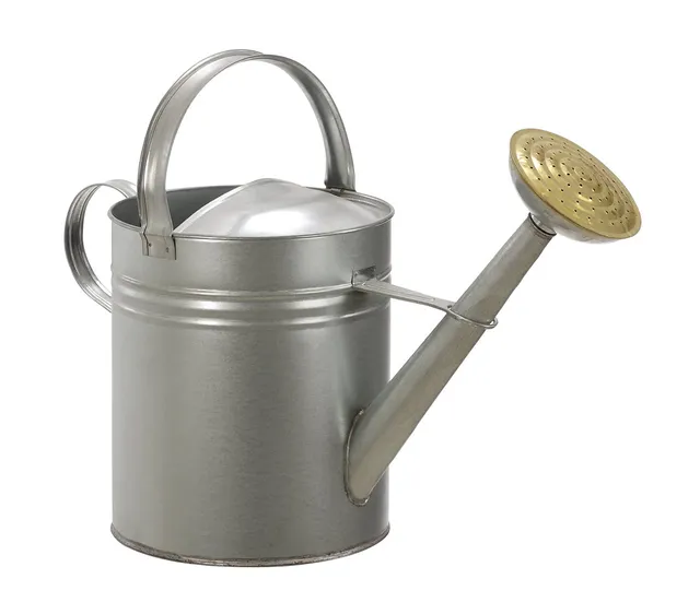 dehner-gie-kanne-nostalgisch-metall-verzinkt-silber-9l image 1