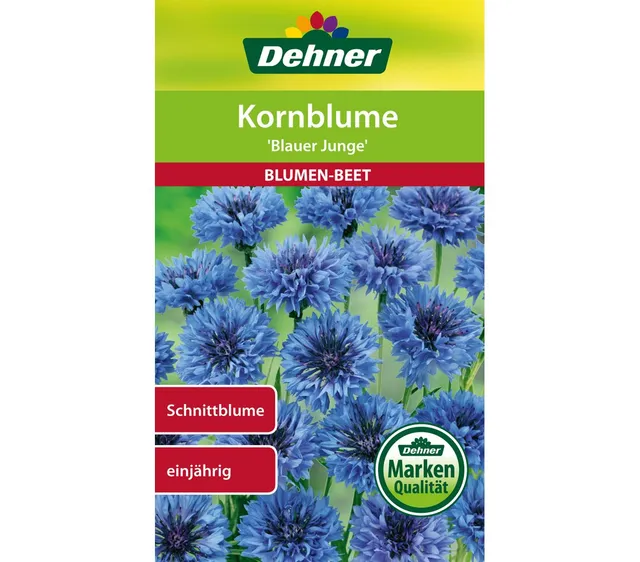 dehner-kornblume-blauer-junge-blumensamen-5er-pack image 1
