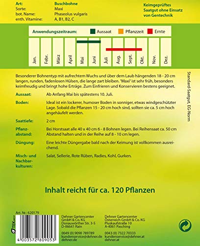 dehner-buschbohne-maxi-gem-sesaatgut-5er-pack-fadenlos image 4