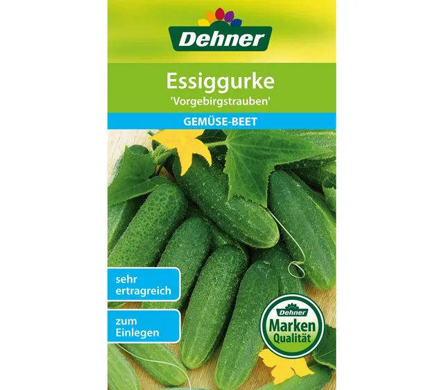 dehner-essiggurke-vorgebirgstrauben-samen-5er-pack-fr-h image 1