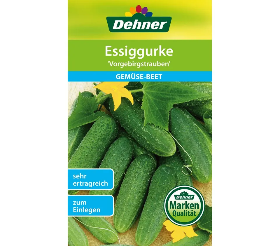 dehner-essiggurke-vorgebirgstrauben-samen-5er-pack-fr-h image 1