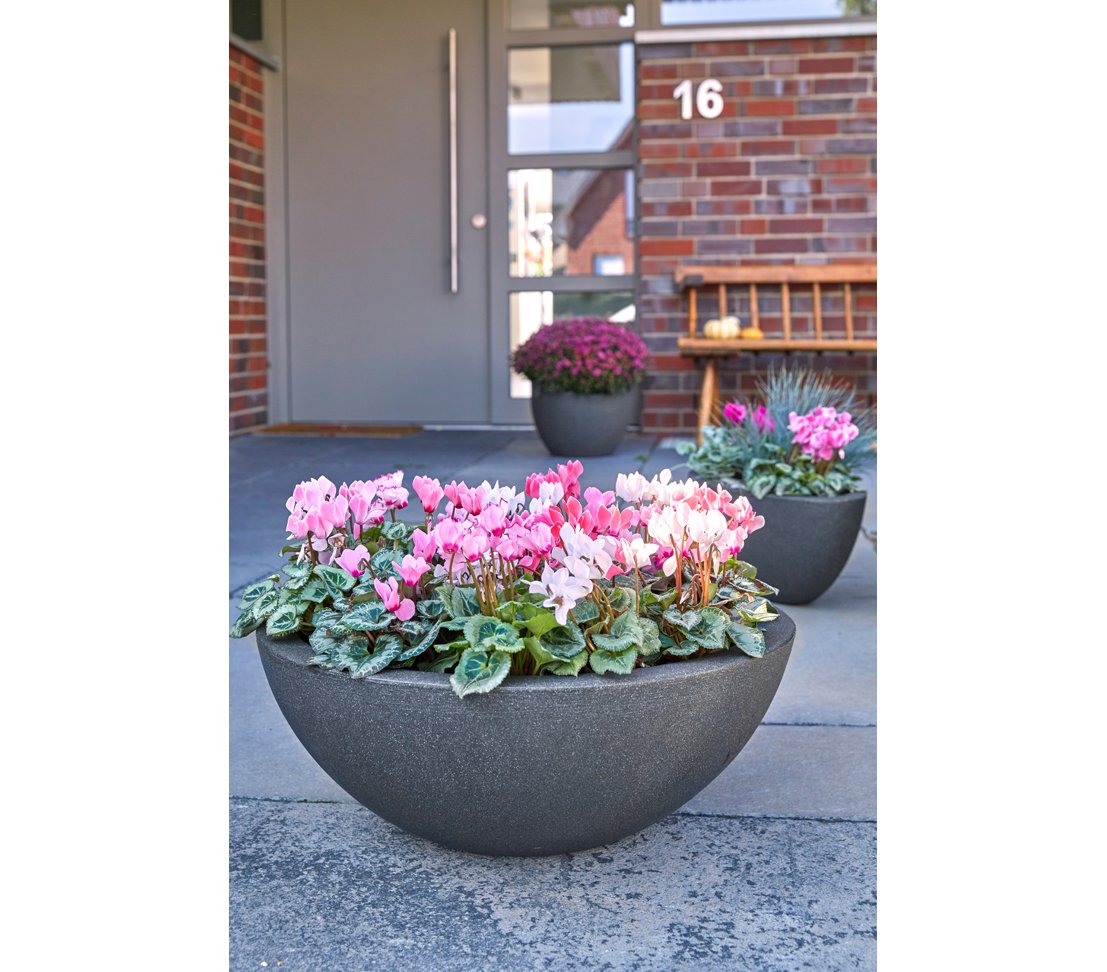 dehner-kugelschale-52-cm-pflanzschale-anthrazit-kunststoff image 3