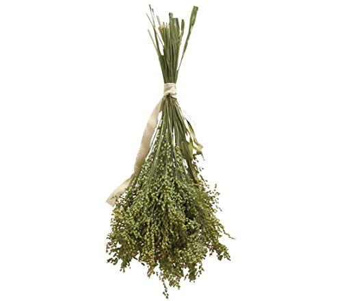 dehner-best-nature-vogelsnack-rispenhirse-10x50g-wellensittich image 8