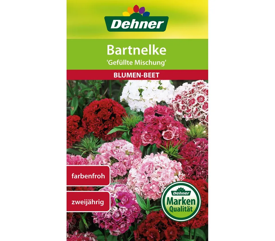 dehner-bartnelke-blumensamen-gef-llte-mischung-5x1-3g image 1