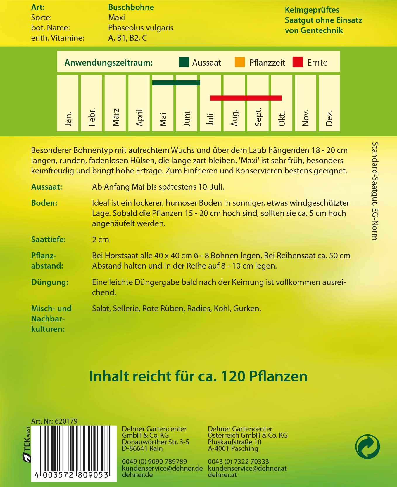 dehner-buschbohne-maxi-gem-sesaatgut-5er-pack-fadenlos image 2