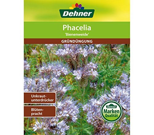 dehner-phacelia-bienenfreund-saatgut-400-g-gr-nd-ngung-f-r-100-qm image 2