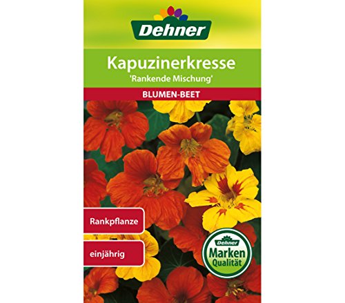 dehner-kapuzinerkresse-rankende-mischung-blumensamen-5x6-g image 4