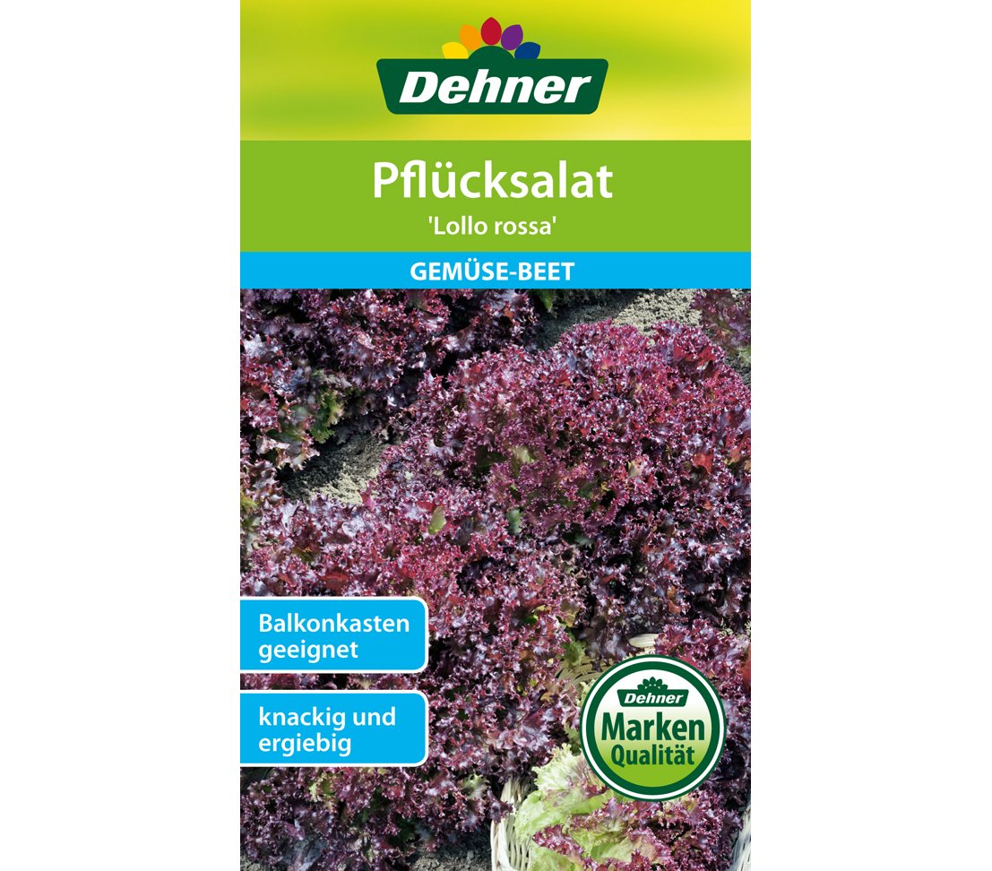 dehner-pfl-cksalat-lollo-rossa-saatgut-5x2g-gekraust image 1