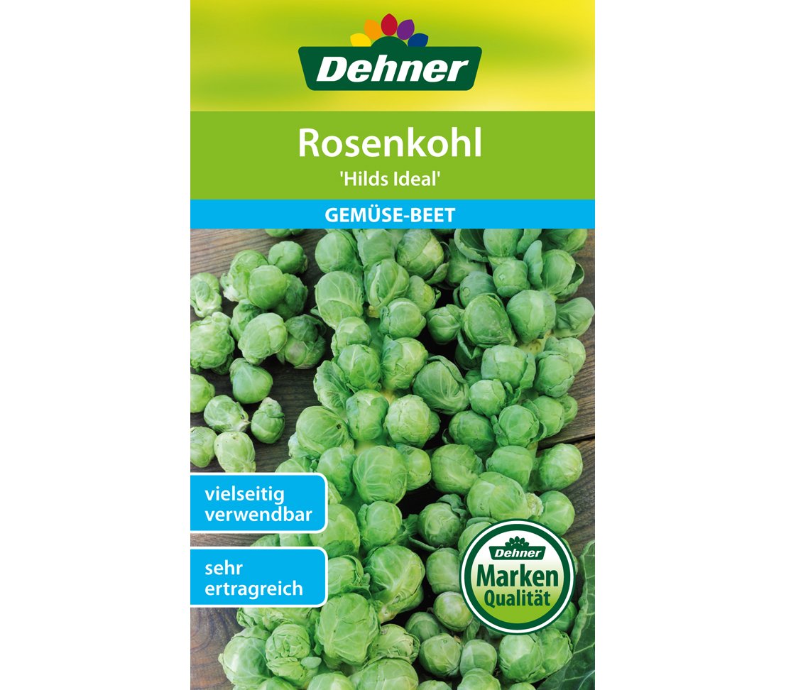 dehner-rosenkohl-hilds-ideal-gem-sesamen-5x2g-ertragreich image 1