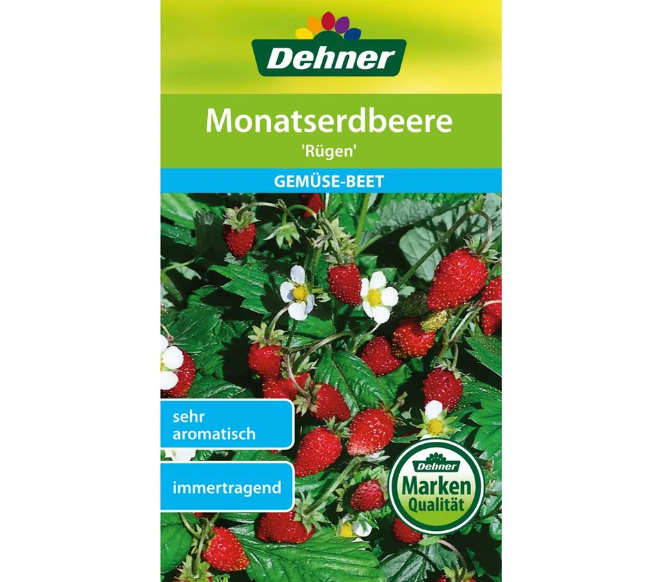 dehner-monatserdbeere-r-gen-saatgut-5er-pack-reichtragend image 1