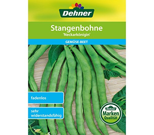 dehner-neckark-nigin-stangenbohnen-samen-5er-pack-fadenlos image 3