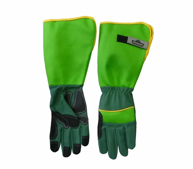 dehner-rosenhandschuh-strauchhandschuh-gr-7-s-stichfest-lang image 1