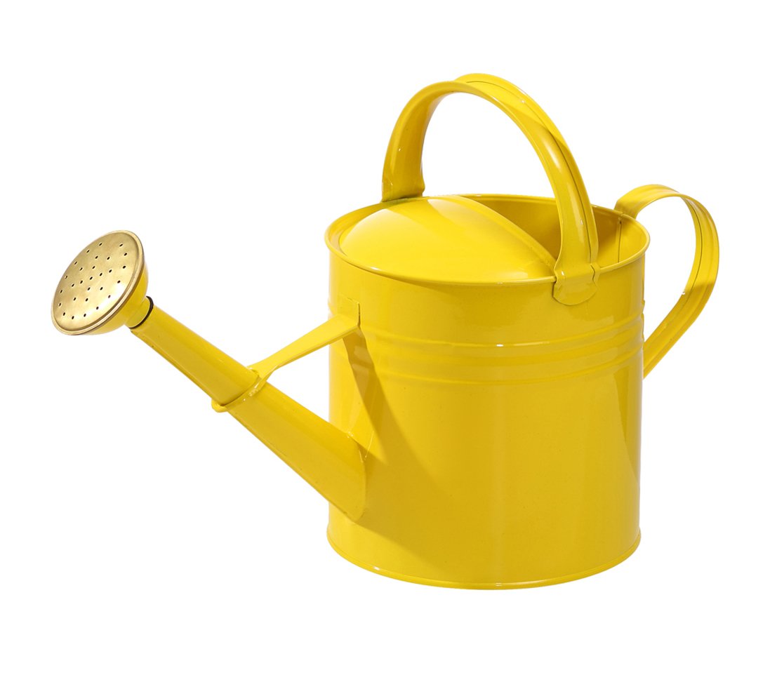 dehner-nostalgisch-gie-kanne-9-l-silber-verzinkt image 3
