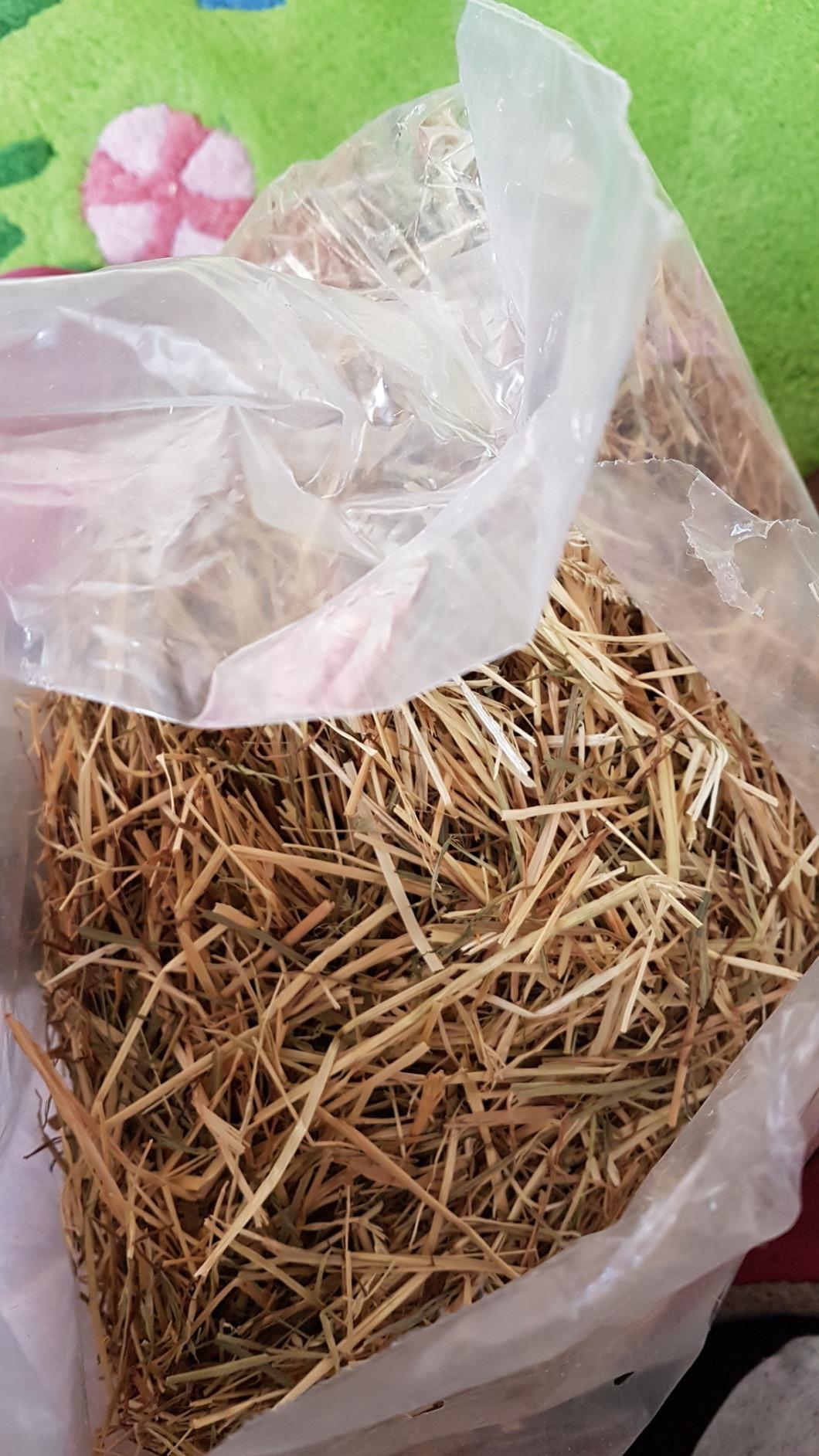 Kaninchen mögen es