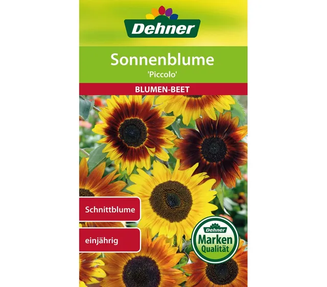 dehner-sonnenblume-piccolo-blumensamen-5x3g-einj-hrig image 1